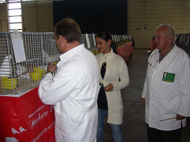 Muenster 2008 003.jpg - Die Preisrichter geben sich mühe um die Tiere richtig zu benoten